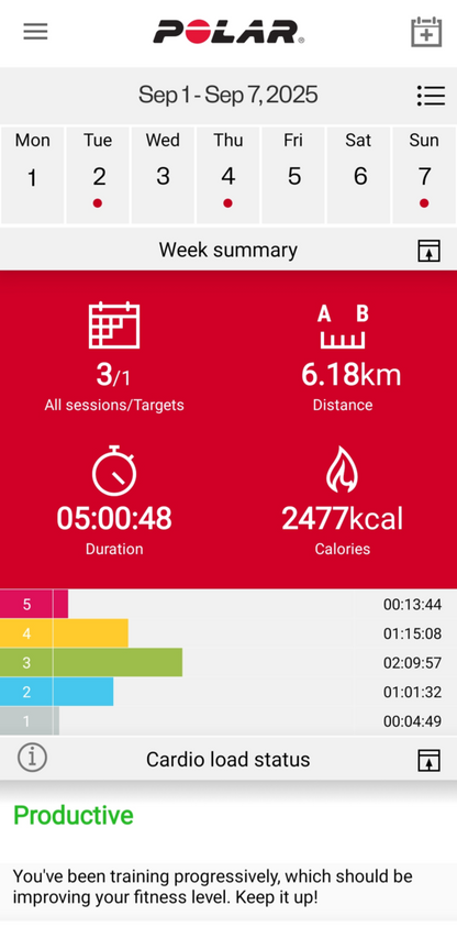 Polar Loop Gen2 Gld /Sand S-L